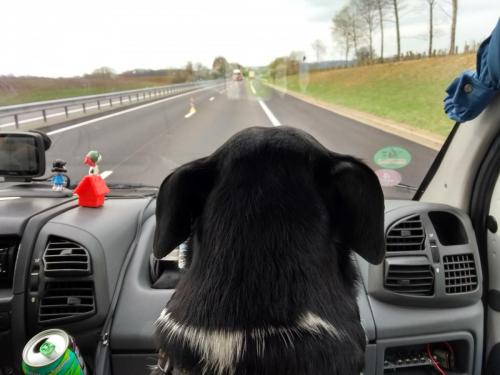 IMG_20190402_110246025_HDR