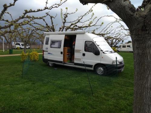 IMG_20190403_132930159