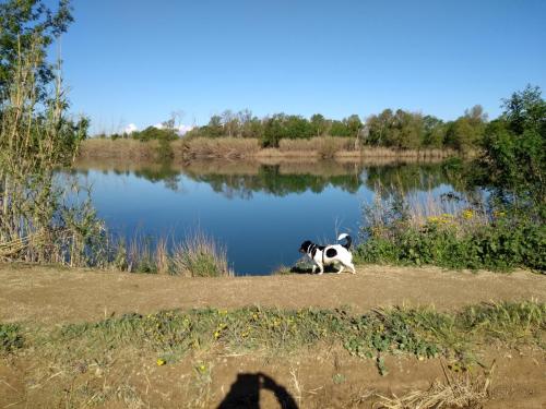 IMG_20190404_101433619