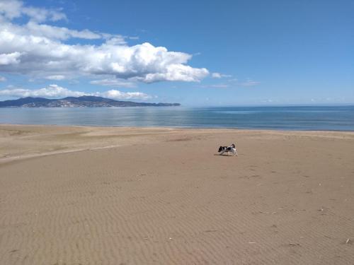 IMG_20190404_125922829