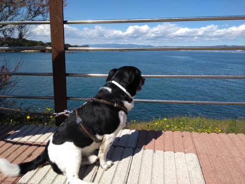 IMG_20190404_143800894