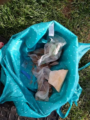 IMG_20190406_183544353