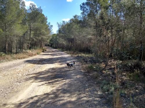 IMG_20190409_112007437_HDR