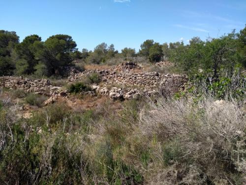 IMG_20190409_113643826