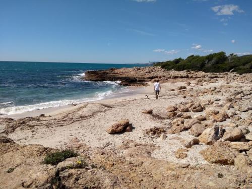 IMG_20190409_115027018