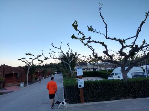 IMG_20190411_195519434_HDR