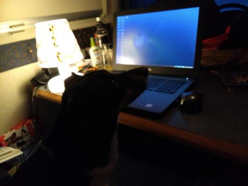 IMG_20190412_204943083