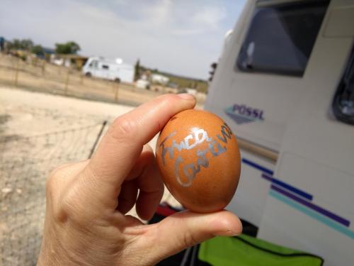 IMG_20190415_142145361