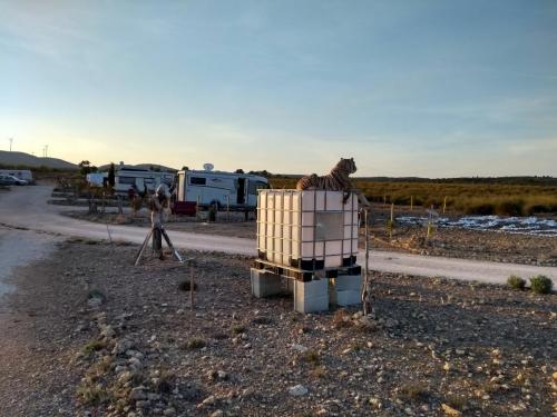 IMG_20190416_201149070_HDR