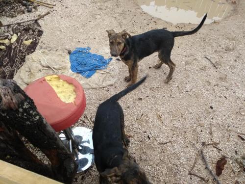 IMG_20190422_105015109