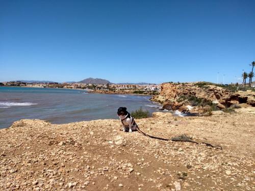 IMG_20190424_124242285_HDR