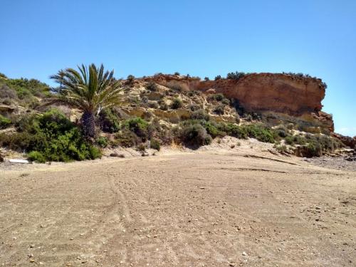 IMG_20190424_125513743_HDR