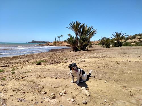 IMG_20190424_125548456_HDR