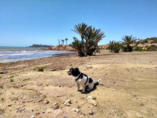 IMG_20190424_125550431_HDR