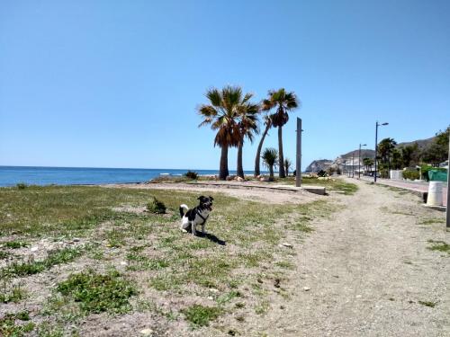 IMG_20190426_143720460_HDR