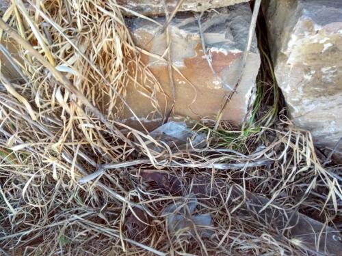 IMG_20190429_180304517_HDR