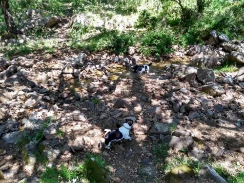 IMG_20190505_154947833_HDR