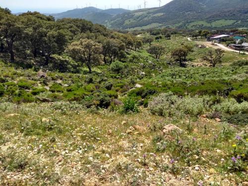 IMG_20190505_155746469_HDR