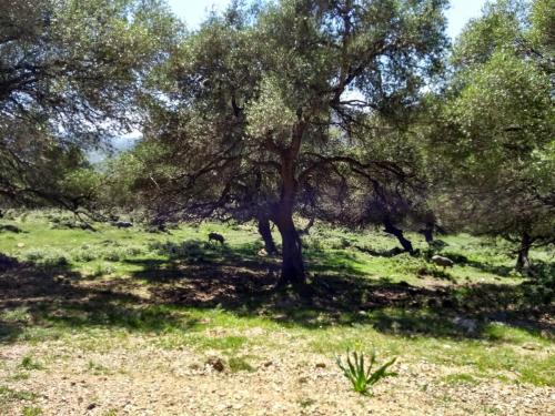 IMG_20190505_160309896_HDR