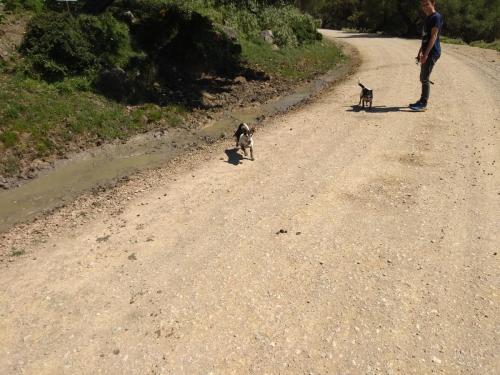 IMG_20190505_160401925