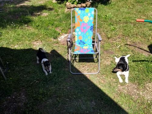 IMG_20190507_171345874_HDR