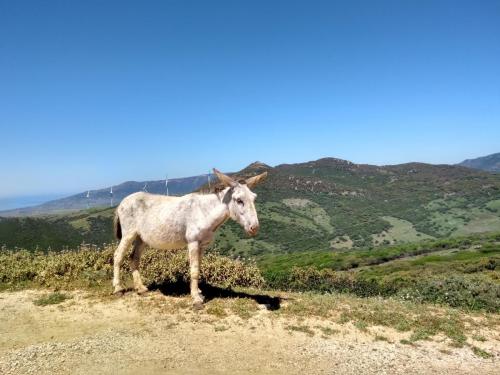 IMG_20190511_130902105_HDR