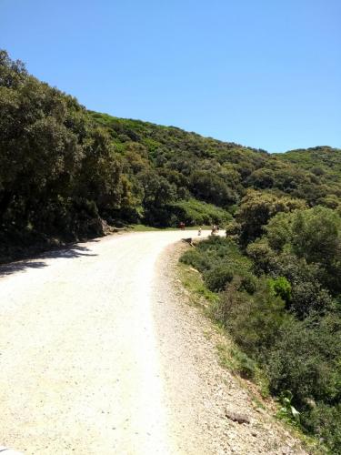 IMG_20190511_131027695