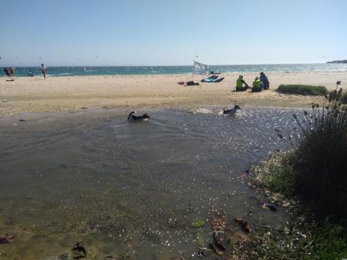 IMG_20190513_173136989_BURST001