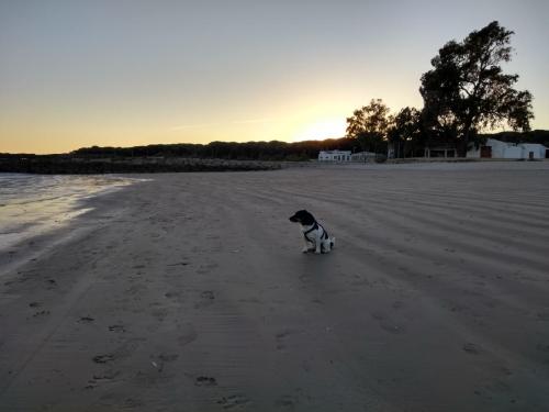 IMG_20190514_210638828_HDR