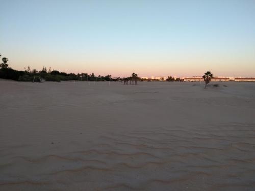 IMG_20190514_211414684