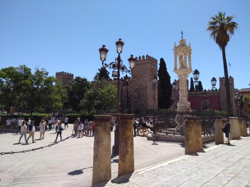 IMG_20190519_123620348_BURST000_COVER_TOP