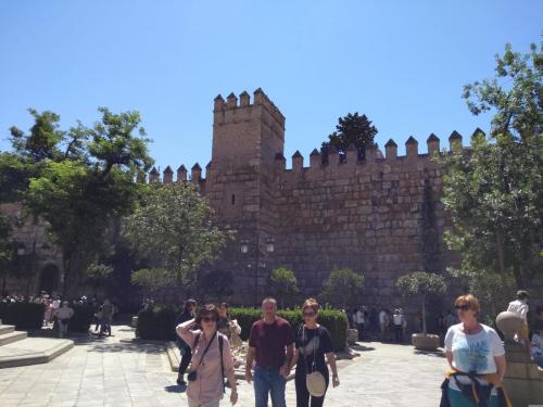 IMG_20190519_123745696_BURST001