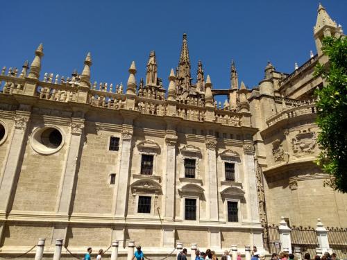 IMG_20190519_123838178_BURST001