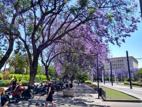 IMG_20190519_131839227_HDR