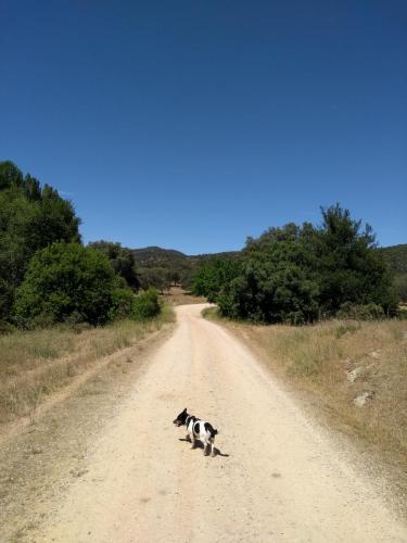 IMG_20190520_155442177