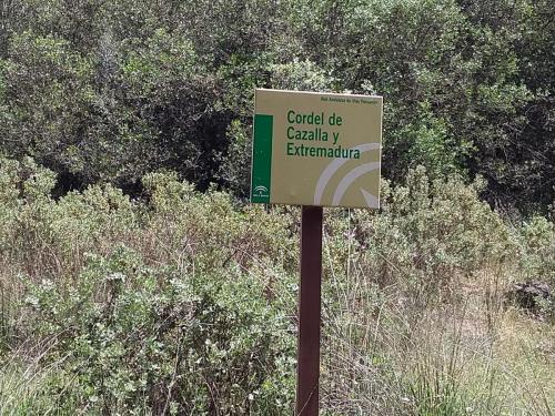 IMG_20190521_141002522