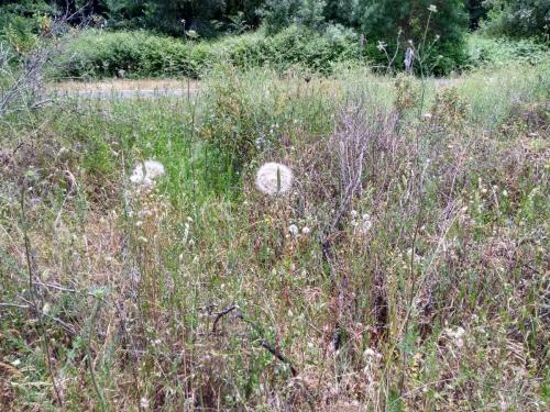 IMG_20190521_143450439_HDR