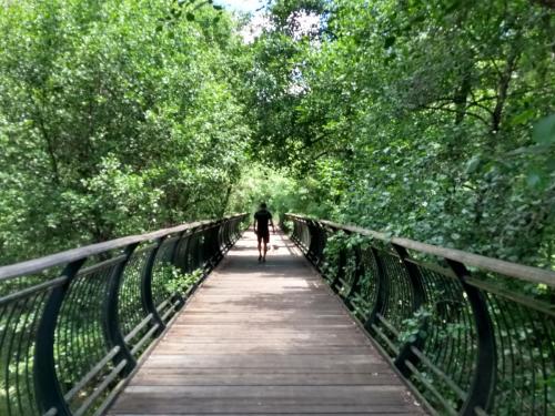 IMG_20190521_143759383_HDR