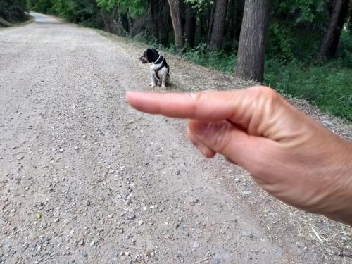 IMG_20190521_184457651_HDR