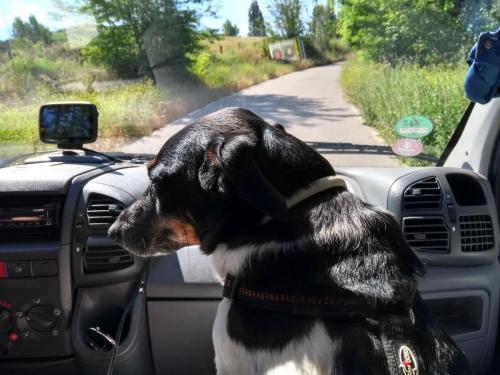 IMG_20190522_110641394_HDR