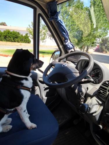 IMG_20190522_124926733_HDR