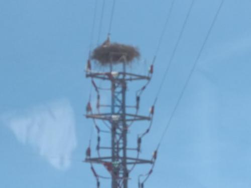 IMG_20190522_132250923