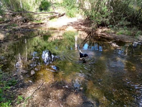 IMG_20190522_174020876_HDR