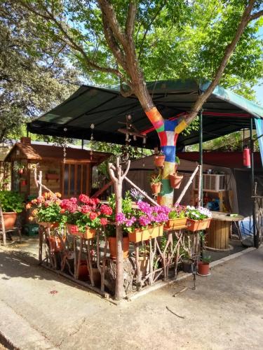 IMG_20190522_182709901_HDR