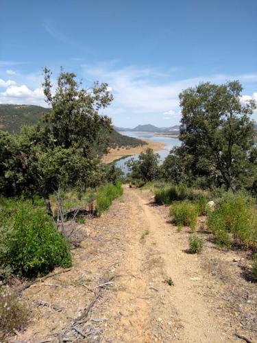 IMG_20190523_120821845