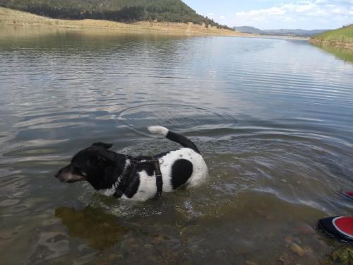 IMG_20190523_125038238