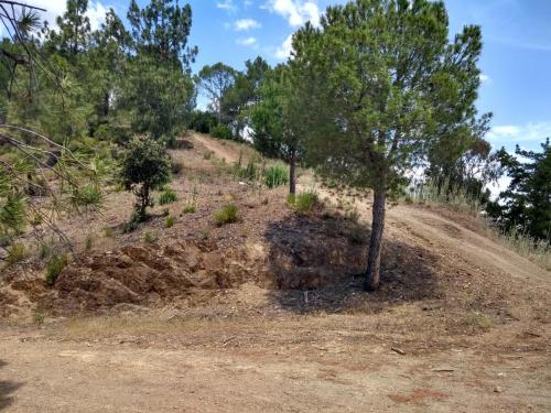 IMG_20190523_133024887_HDR