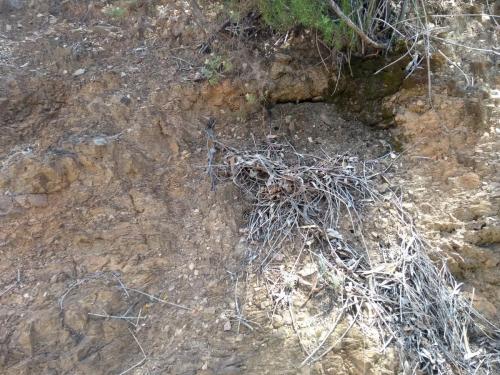 IMG_20190523_133713259