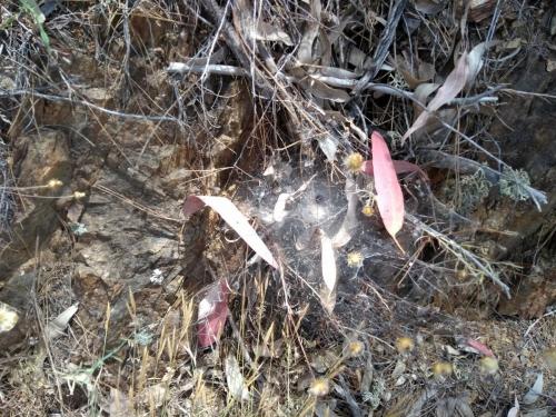 IMG_20190523_133933534