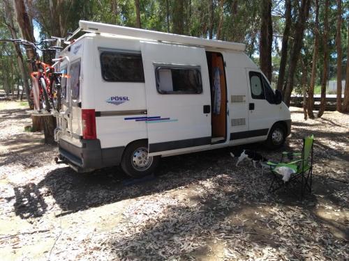 IMG_20190526_152252653